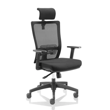 Изпълнителен Mesh председател